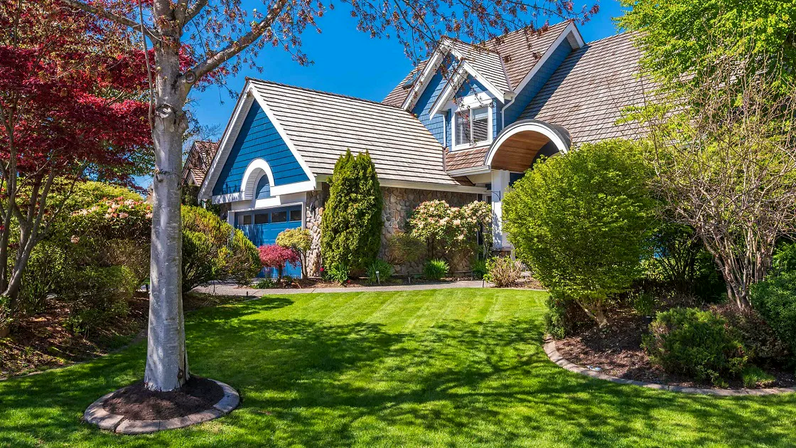 landscaping company Grovetown, Harlem